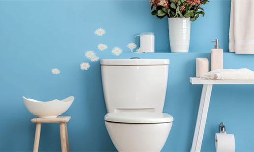 中國衛浴潔具行業發展狀況與展望